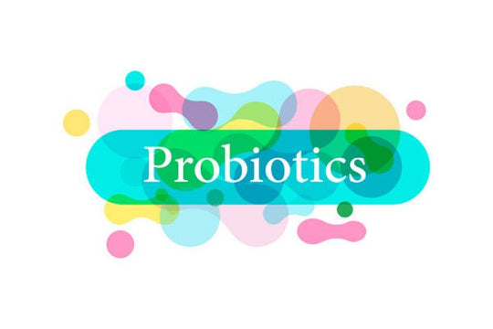 How Do Probiotics Help You?